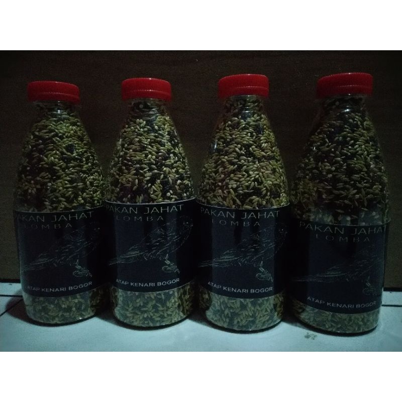 Pakan Jahat Kenari Lomba