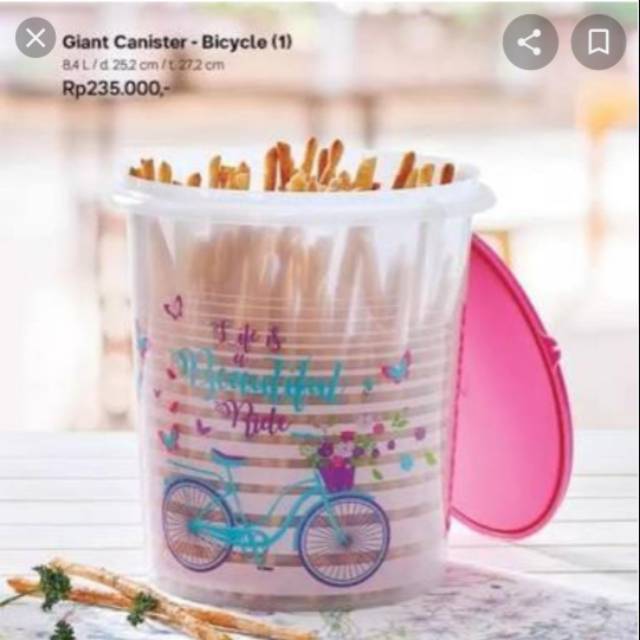 Giant Canister Bicycle  (1)