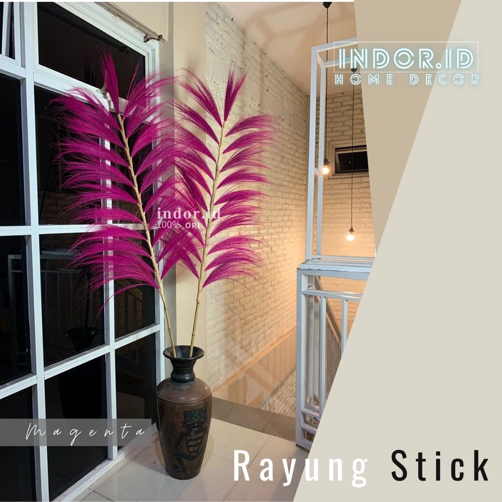 indor.id Rayung KERING - RAYUNG Panjang - Rayung NATURAL - Rayung RUSTIC Dekorasi