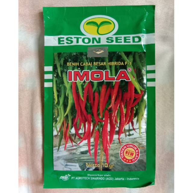 Benih Cabe Besar Imola 10gr
