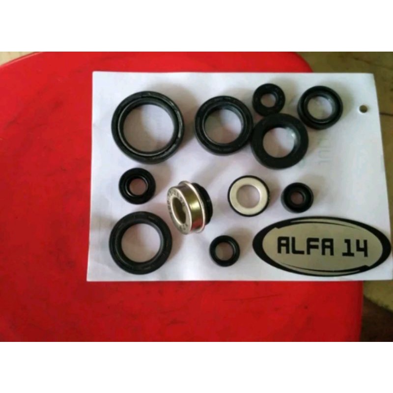 sil seal set mesin NSR 150 R RR SP FSX Phantom