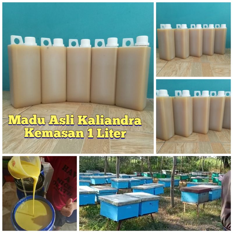 

Madu Kaliandra Super 1liter / 1,4kg harga termurah