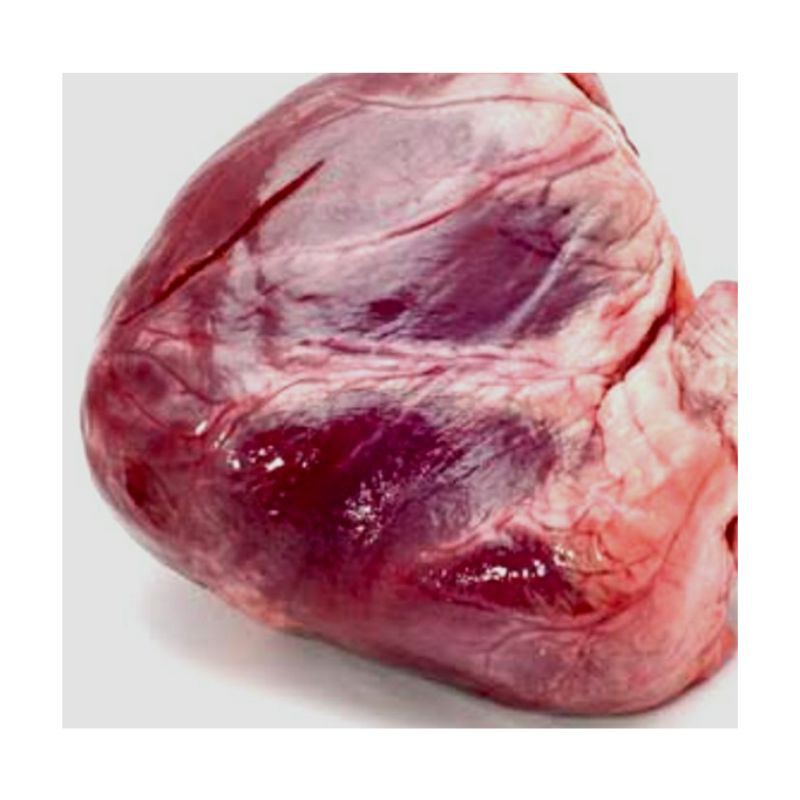 DAGING SAPI HALAL / JANTUNG SAPI IMPORT 1KG JANTUNG SAPI AUSTRALIA SUPER