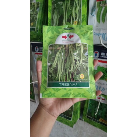Benih Buncis TRESNA