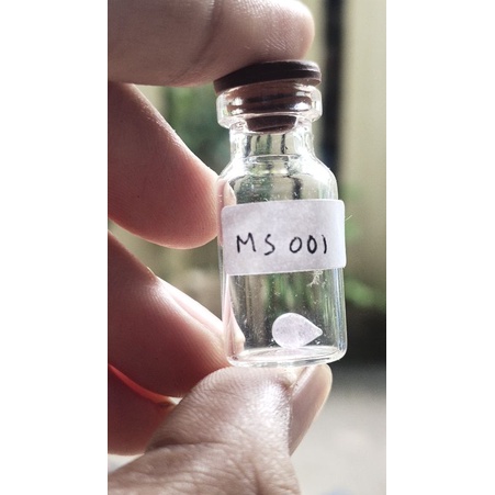 mustika sir alam asli temuan sepuh kuno antik pusaka MS001