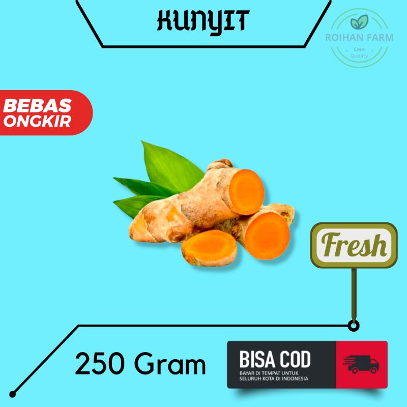 

Kunyit Segar Organik / Koneng / Herbal / Rempah [TERMURAH]