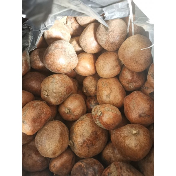 

Buah Zuriat untuk program hamil bagus untuk kesuburan berat 1kg