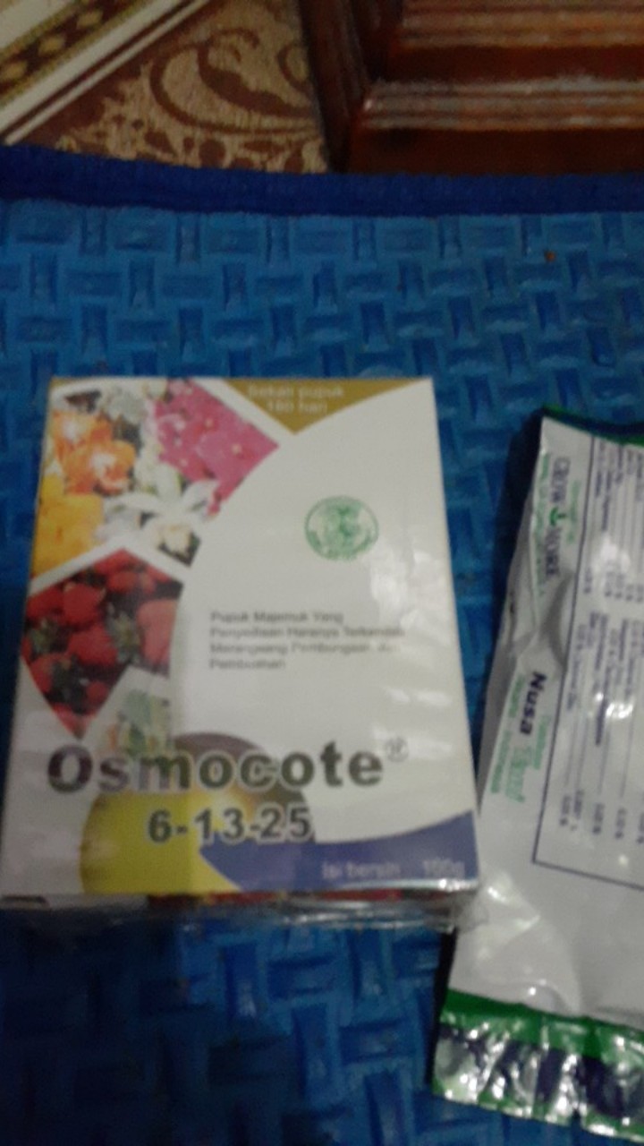 Pupuk Bunga Buah Dekastar Plus Osmocote 6-13-25 100 Gr