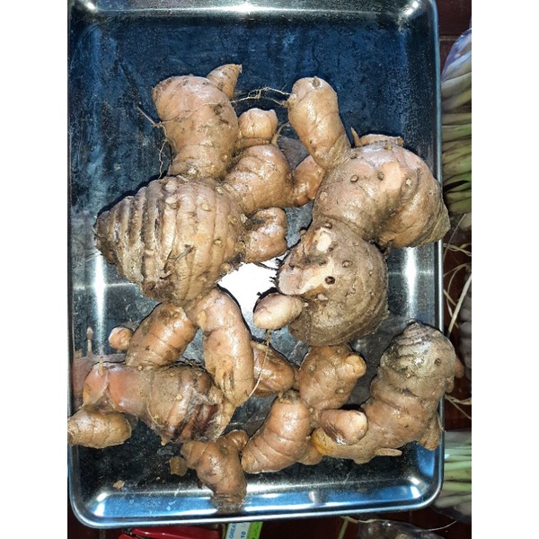 

Temulawak
