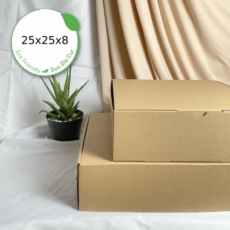 

Dus Packing 25x25x8 Die Cut - Karton Box Kardus Eco-Friendly