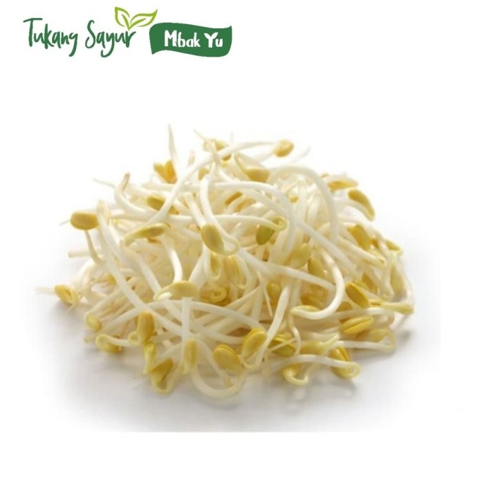

Tauge - kecambah 250gr