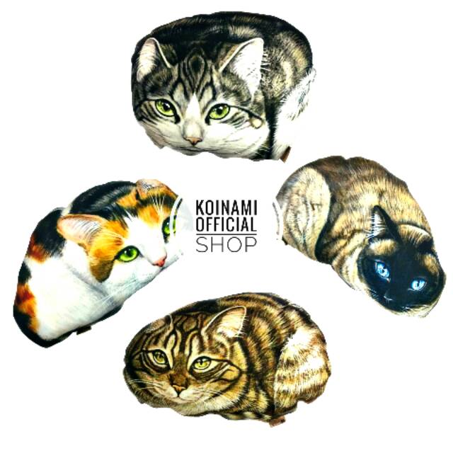 BANTAL KUCING