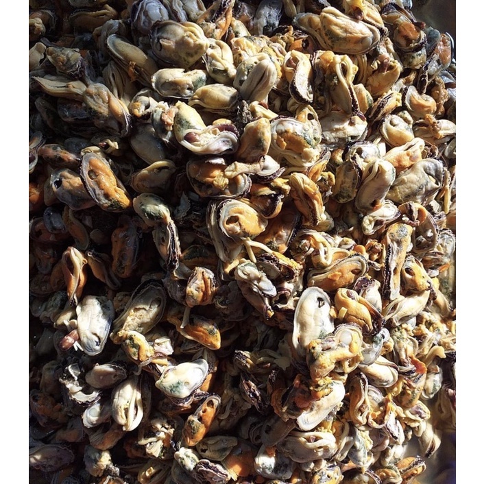 

kerang