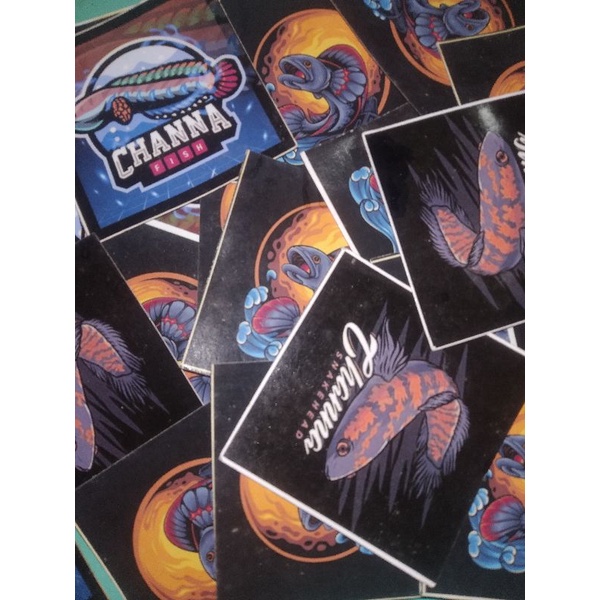 

stiker Channa murah