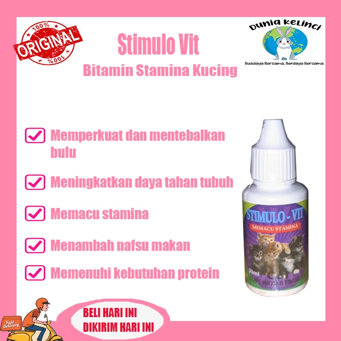 Vitamin Stamina Kucing Stimulo VIT