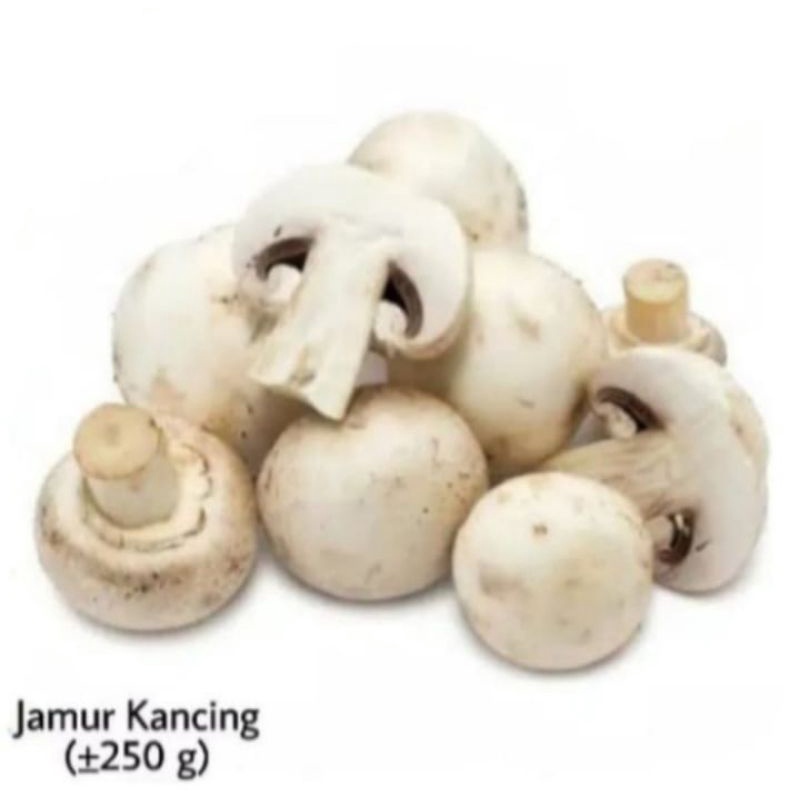 

jamur kancing 250gr