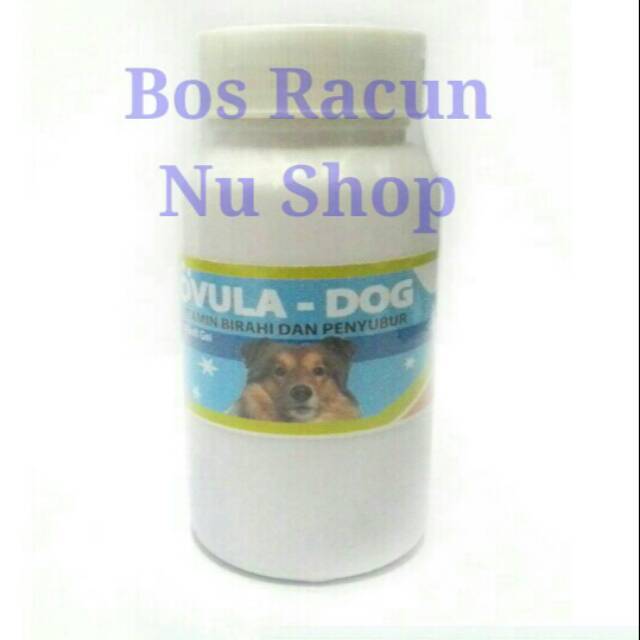 Vitamin birahi dan penyubur anjing OVULA DOG