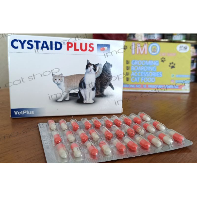 Cystaid plus obat susah kencing