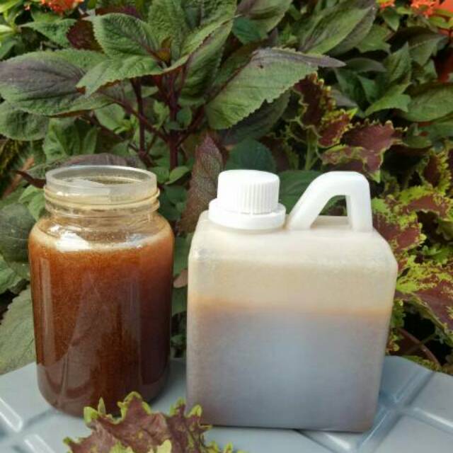 

MADU HUTAN ASLI SIALANG RIAU 500GR