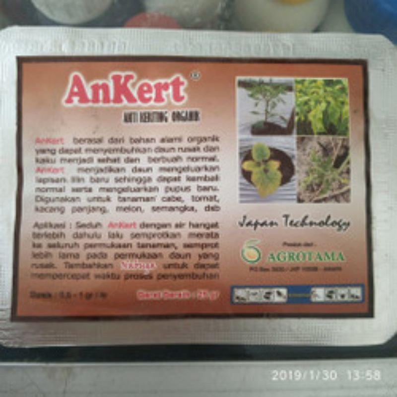 Obat cabe keriting Ankert