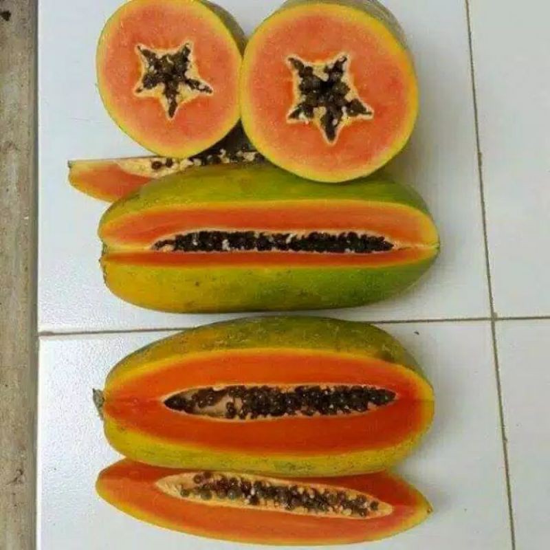 

buah pepaya california 1kg termurah