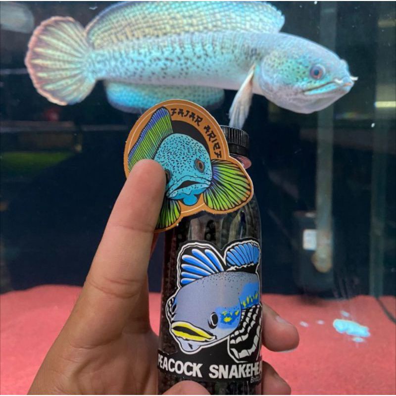 Pelet VIRUS fajar arief botol segel