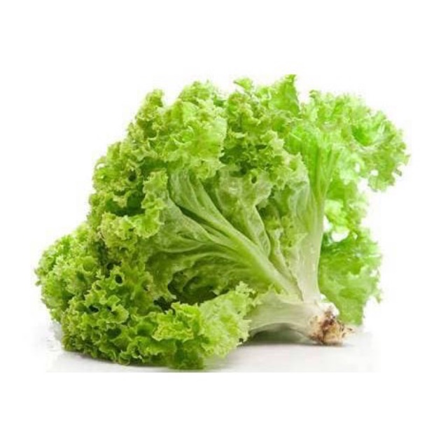 

PASAR ONLINE MURAH - SELADA KERITING 250gr