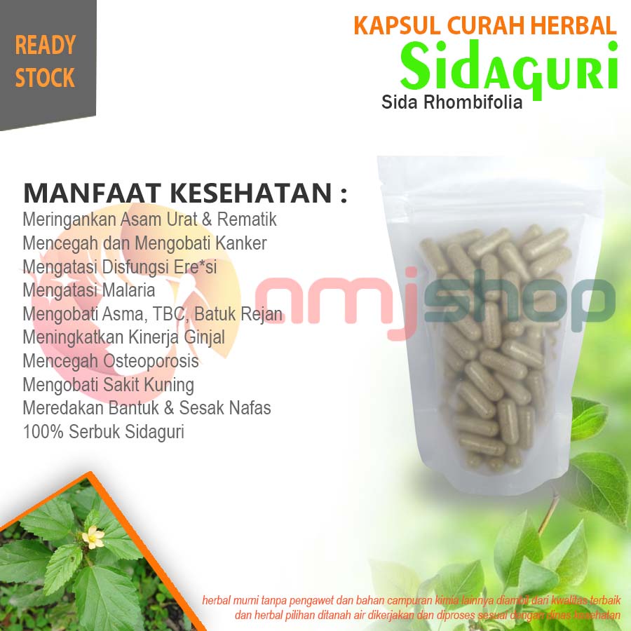 

Kapsul curah herbal sidaguri kapsul herbal lemah syahwat eksim asma anti radang ginjal