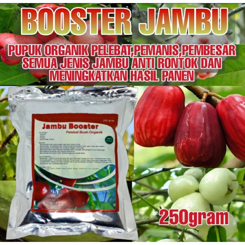 Pupuk Pelebat Organik Perangsang Buah Jambu Air,Kristal,Bol,Jamaika Cepat Berbuah Lebat