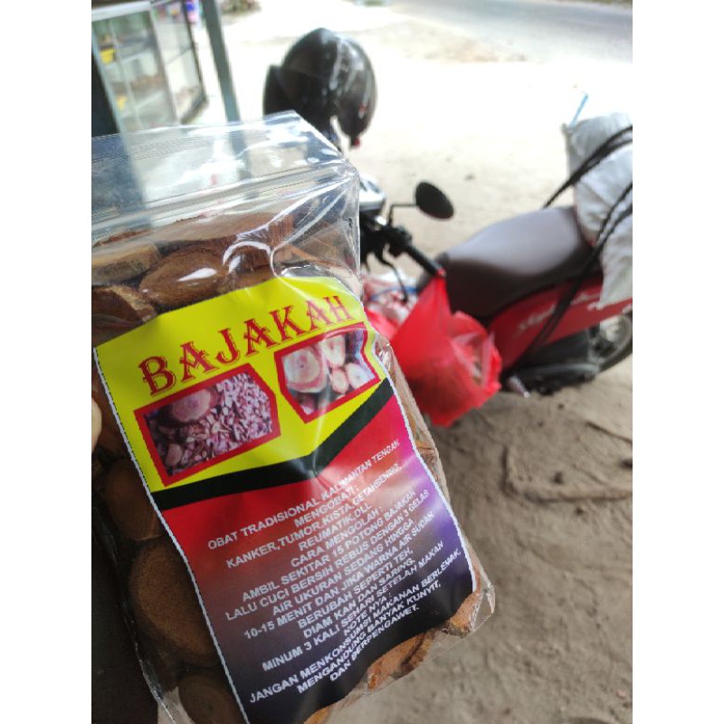 

BAJAKAH TAMPALA MERAH
