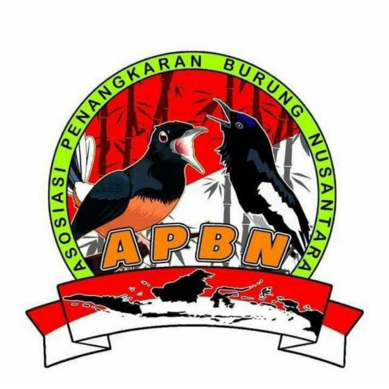 Murai Batu Ring APBN + Sertifikat