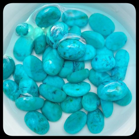 BACAN BLUISH GREEN TERMURAH