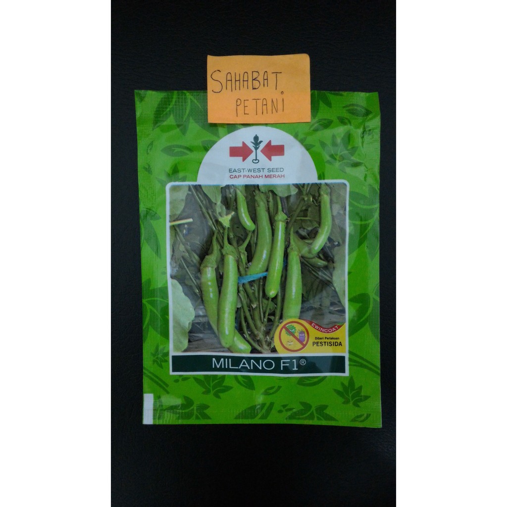 Benih Terong / Terung Hijau Milano 1100 Butir