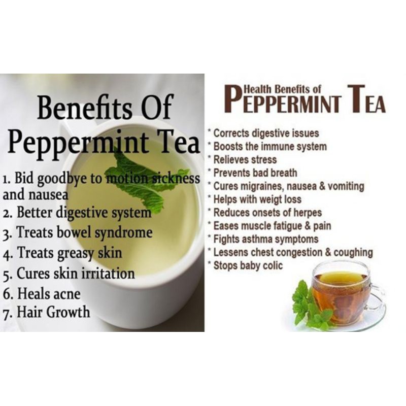 PEPPERMINT TEA : TEH DAUN MINT ISI 30 TEA BAG