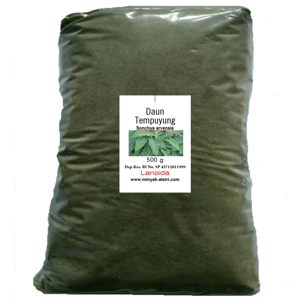 Bubuk Daun Tempuyung 500 g Simplisia Serbuk Sonchus arvensis