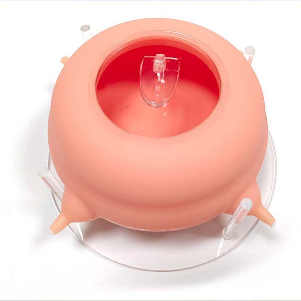 [Elegan] Pet Feeder Portable Silicone Puppy Nursing Station Kittle Puppy Mangkuk Air Peliharaan Untuk Susu Baru Lahir Feeder