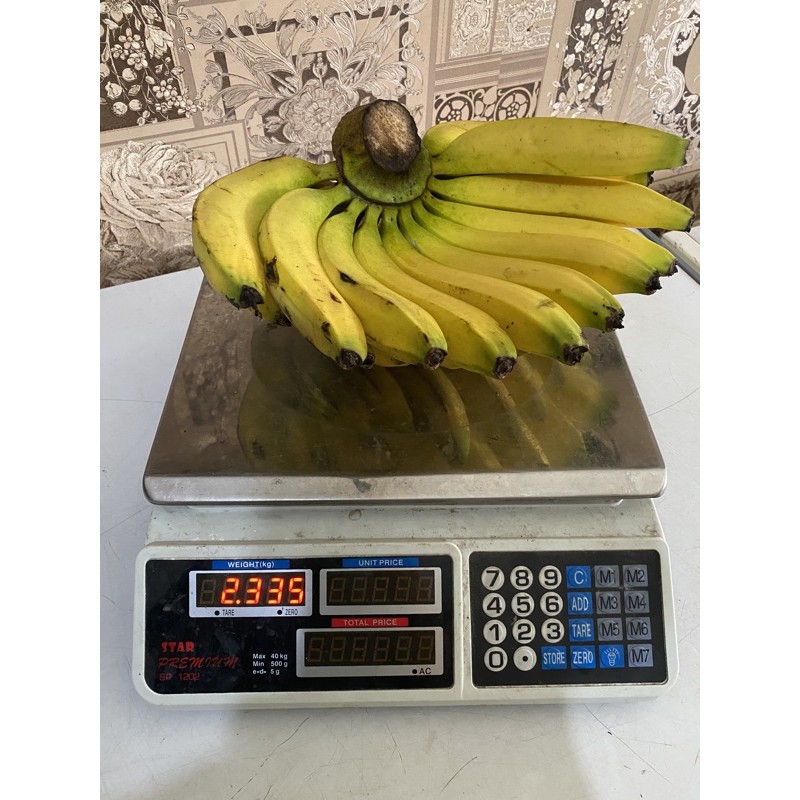

Pisang ambon besar