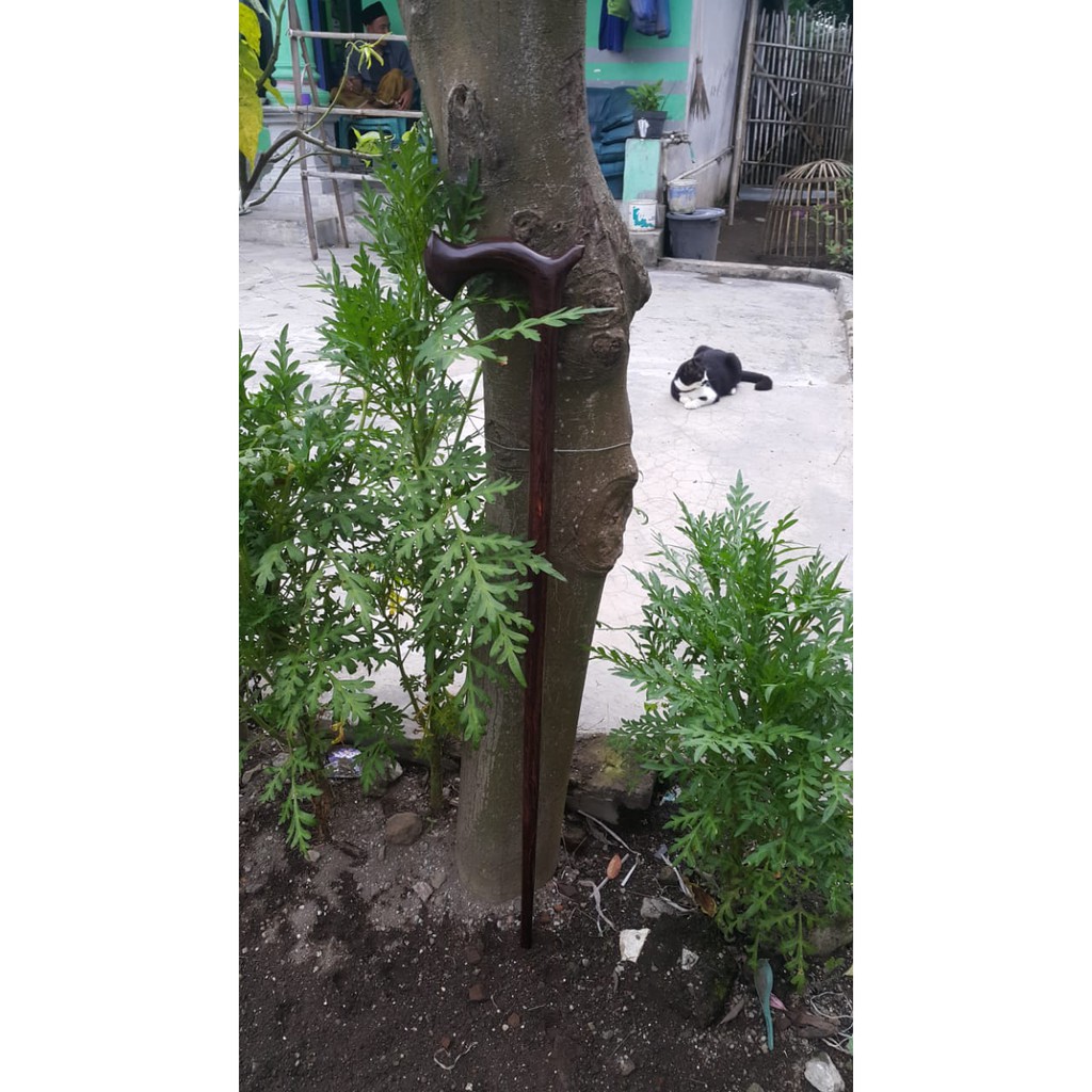 TONGKAT JALAN KAYU GALIH ASEM / tongkat jalan kayu galih asem asli grade A+ / Tongkat jalan datuk