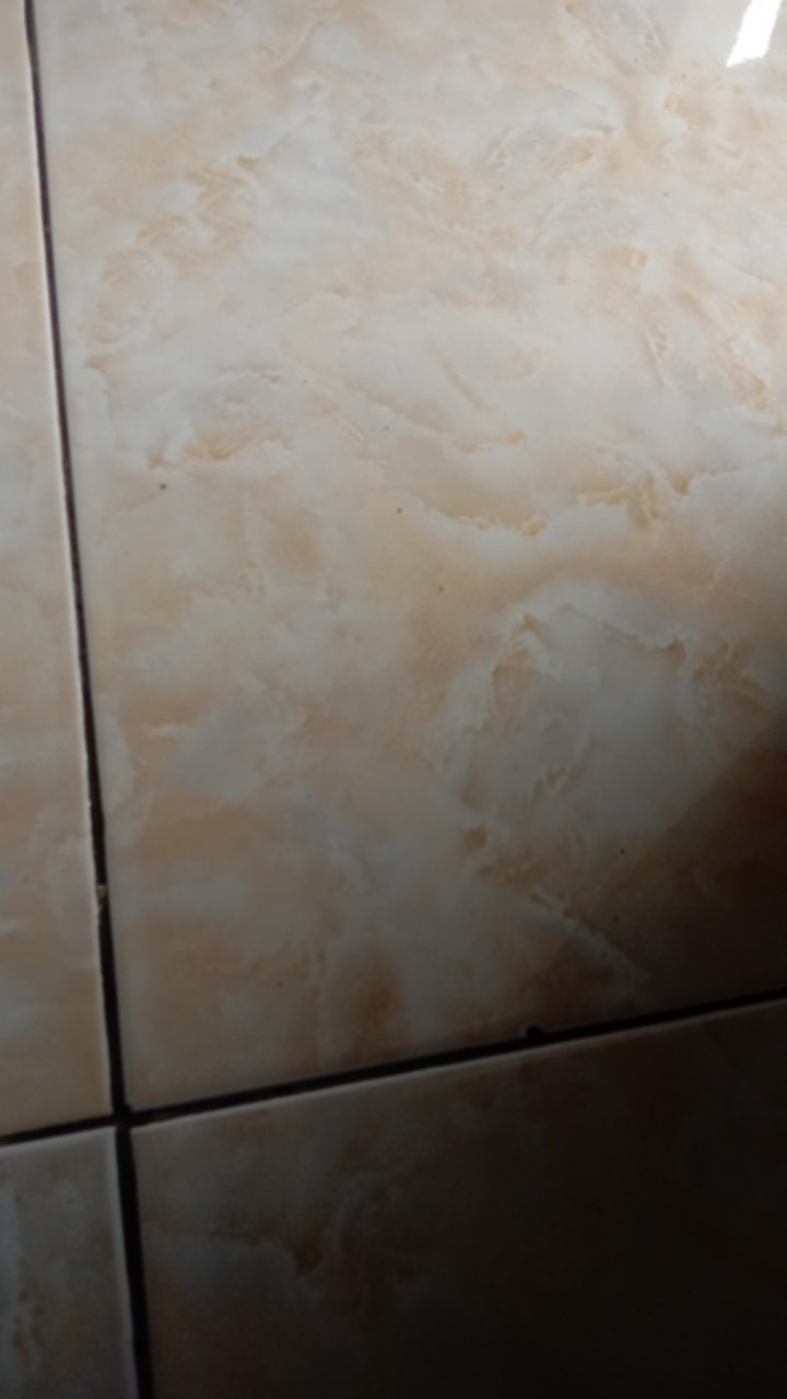 [premium] Kantong Plastik Pond Oval Polos 25x35 - Hd Plong / Plastik Packing Olshop Murah