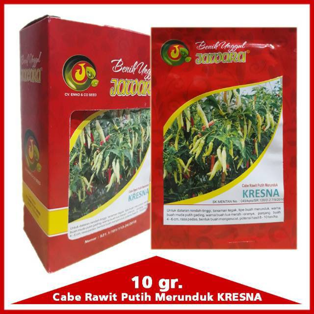 Benih cabe rawit putih Unggul KRESNA 10gr - bibit cabe rawit putih | Benih Cabai Rawit