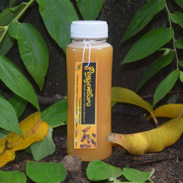

Madu Hutan Asli Sulawesi