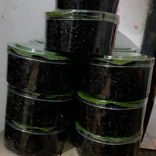 

Tape Ketan Hitam