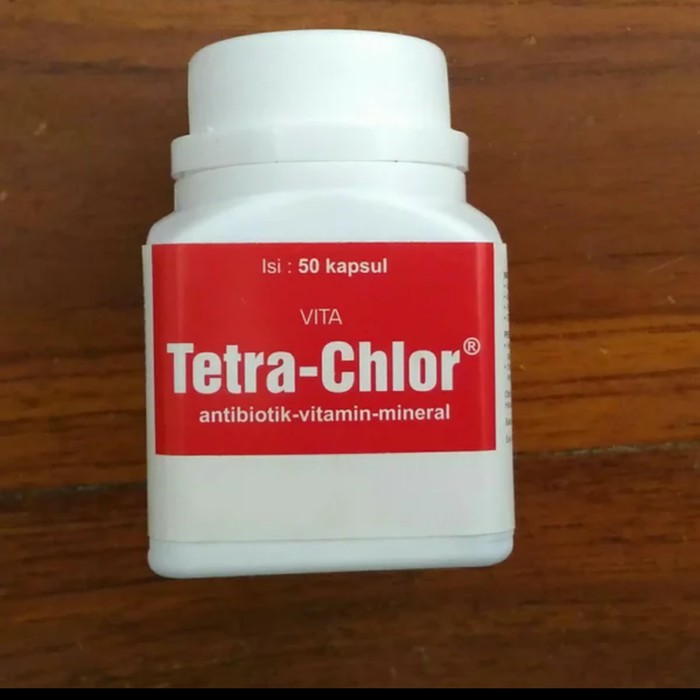 Tetra-Chlor 50 kapsul obat ayam ngorok, pilek, berak hijau dan kapur