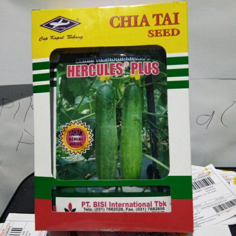 BENIH MENTIMUN HERCULES PLUS F1