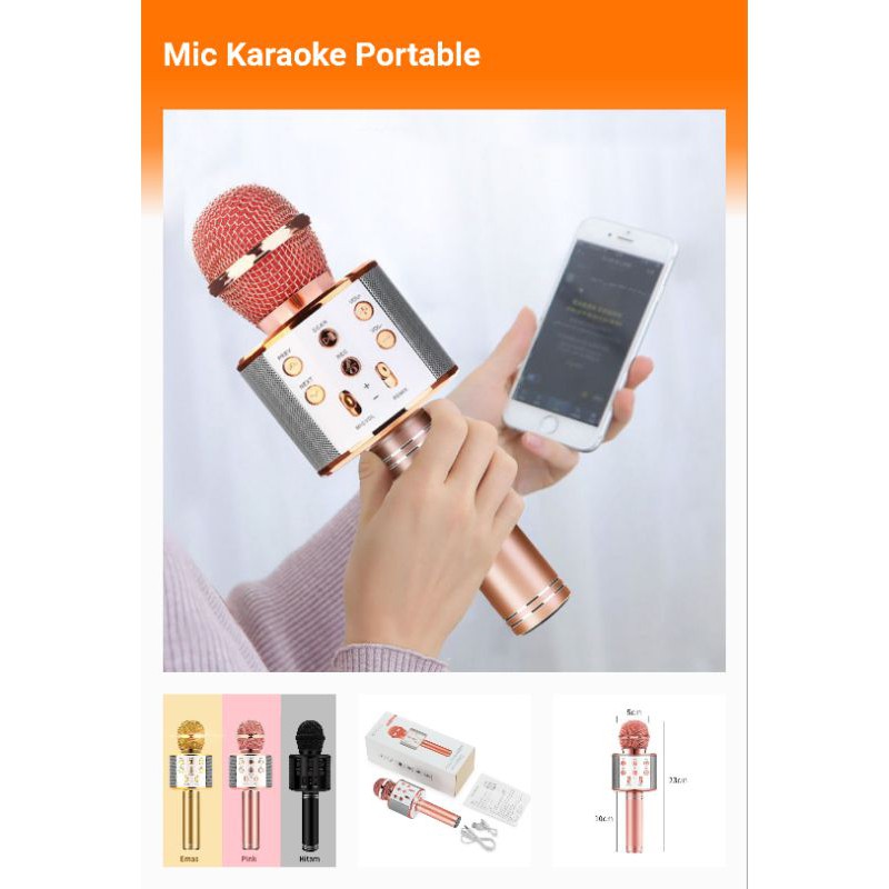 Mic Karaoke Portable murah ,mic dangdutan , mic pengajian