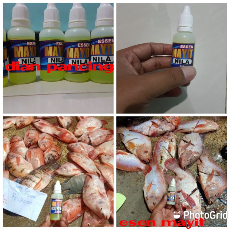 Essen Mayit Nila Isi 30 ml / Essen Mayit / Essen Nila