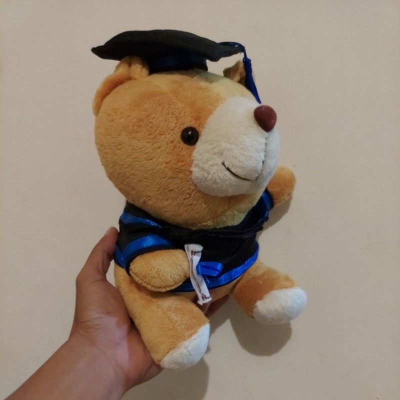 Boneka toga wisuda teddy bear beruang graduation souvenir Cute