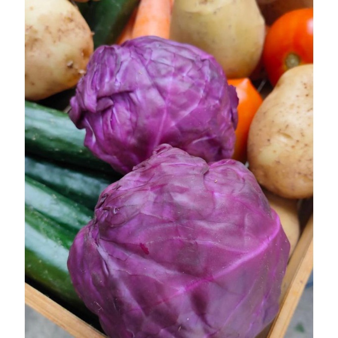 

[SAKHARA SHOP] KOL UNGU (300 GRAM)