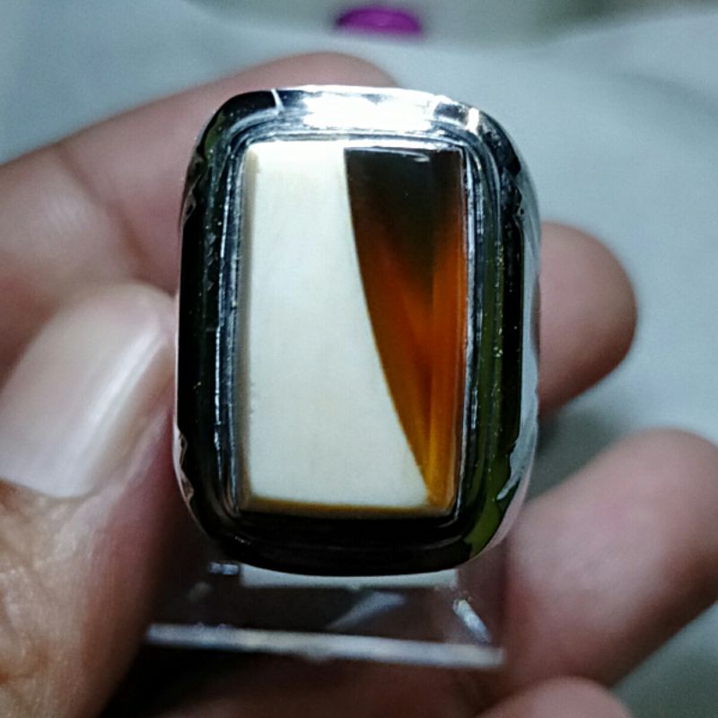 natural mani gajah lampung