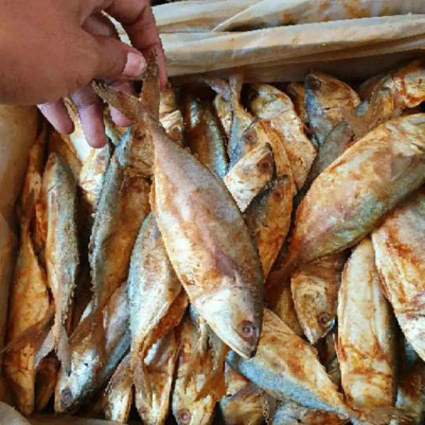 

ikan asin peda merah asli empuk dan wangi 500 GR